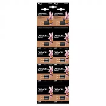 DURACELL Basic batteria alcalina AAA LR03 1,5V confezione blister da 20 pezzi