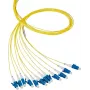 EFB Elektronik Pigtail in Fibra LC 62.5/125 OM1 Blu 2m