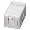 EFB ET-25166 Scatola keystone da parete, 1 porta, coperchio antipolvere autochiudente, bianco puro