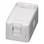 EFB ET-25166 Scatola keystone da parete, 1 porta, coperchio antipolvere autochiudente, bianco puro