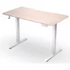 ENDORFY Atlas S Scrivania elettrica regolabile in altezza legno chiaro 120x60 cm