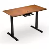 ENDORFY Atlas S Electric scrivania regolabile in altezza noce/nero 120x60 cm