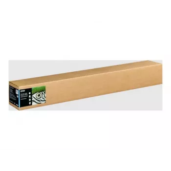 Epson Fine Art II Cotton Smooth Matte Natural White 300g/m² rotolo di carta inkjet (111,76cm x 15m)
