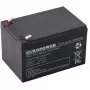 Europower EP12-12 batteria AGM 12V 12Ah