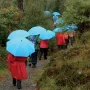 EuroSCHIRM Swing liteflex Blu Ombrello in Fibra di Vetro Poliestere a Lunghezza Intera