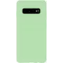 Evelatus Samsung Galaxy S10 Custodia in silicone nano Soft Touch TPU menta