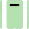 Evelatus Samsung Galaxy S10+ custodia in nano silicone Soft Touch TPU menta