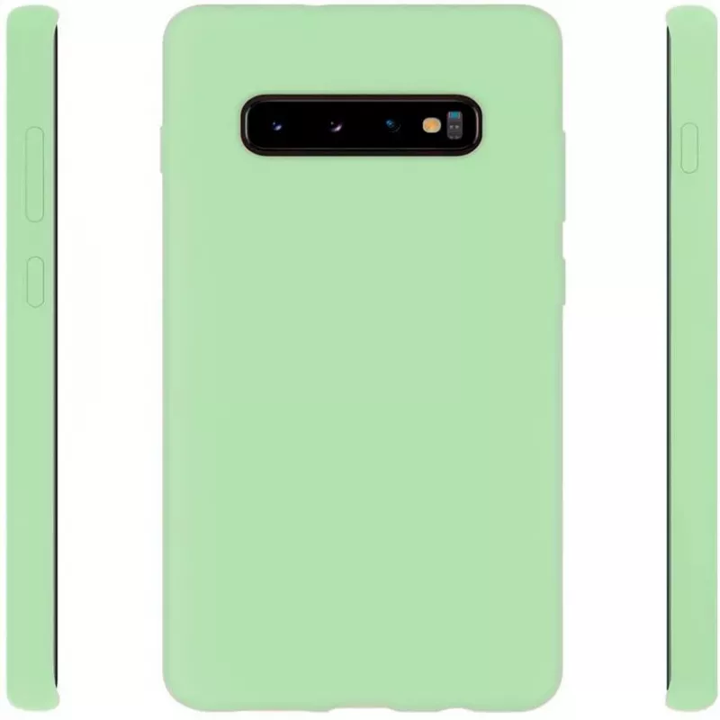Evelatus Samsung Galaxy S10+ custodia in nano silicone Soft Touch TPU menta