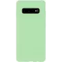 Evelatus Samsung Galaxy S10+ custodia in nano silicone Soft Touch TPU menta
