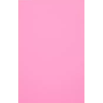 Evelatus Pellicola universale Color Shinning per taglierina per schermo rosa chiaro (50 fogli)