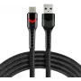 everActive CBB-1CBR cavo USB-A a USB-C con LED RGB intrecciato 1m 3A nero