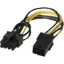EXERTIS CONNECT Cavo adattatore di alimentazione PCI Express da 6 pin a 8 pin per schede grafiche (146695)