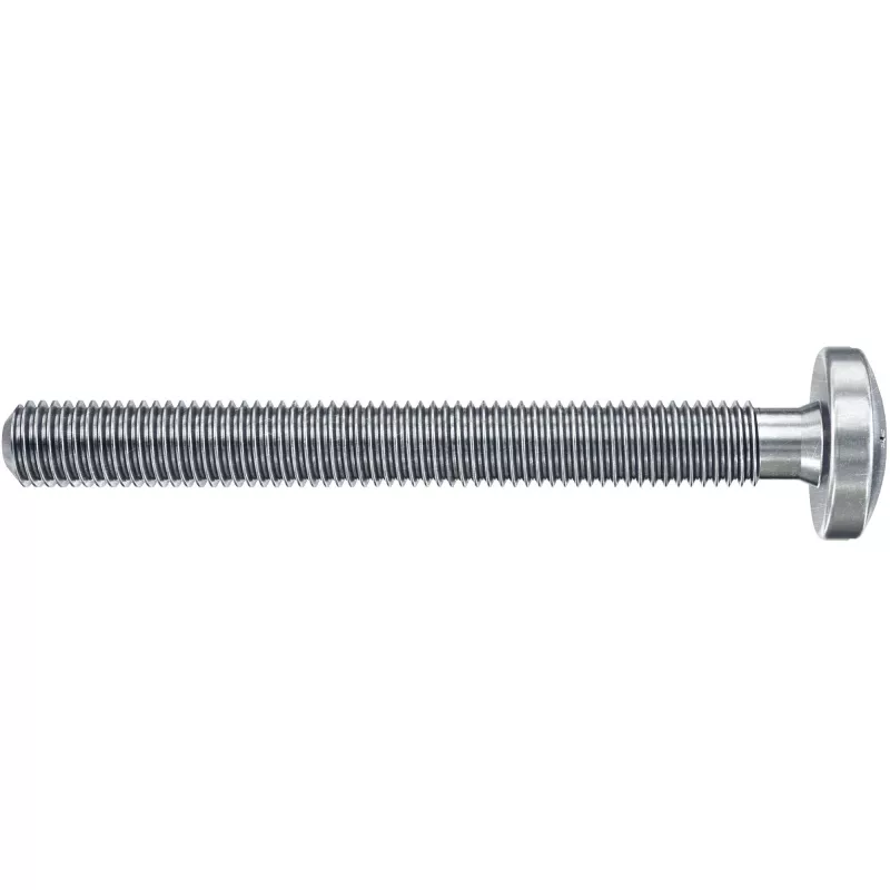 Tassello per cavità Fischer DuoHM 4x55 S PH PZ 55 mm 4 pezzi 572911