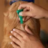 Frontline Combo Spot-On L per cani 20-40 kg – 3 pipette x 2,68 ml