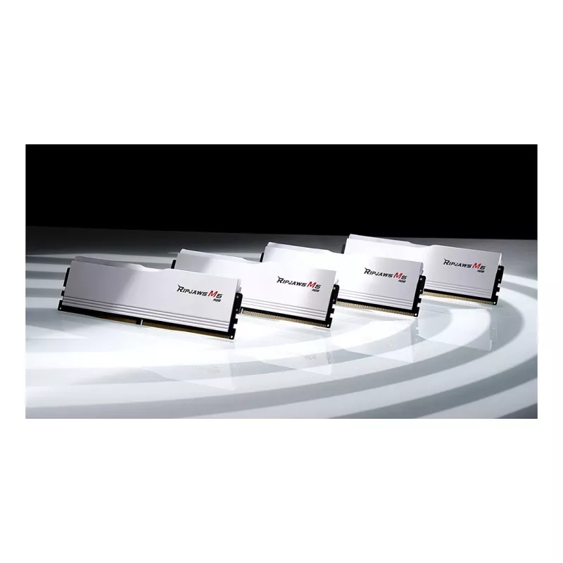 G.Skill Ripjaws M5 RGB 48GB (2x24GB) DDR5-6000 CL30 Kit di memoria