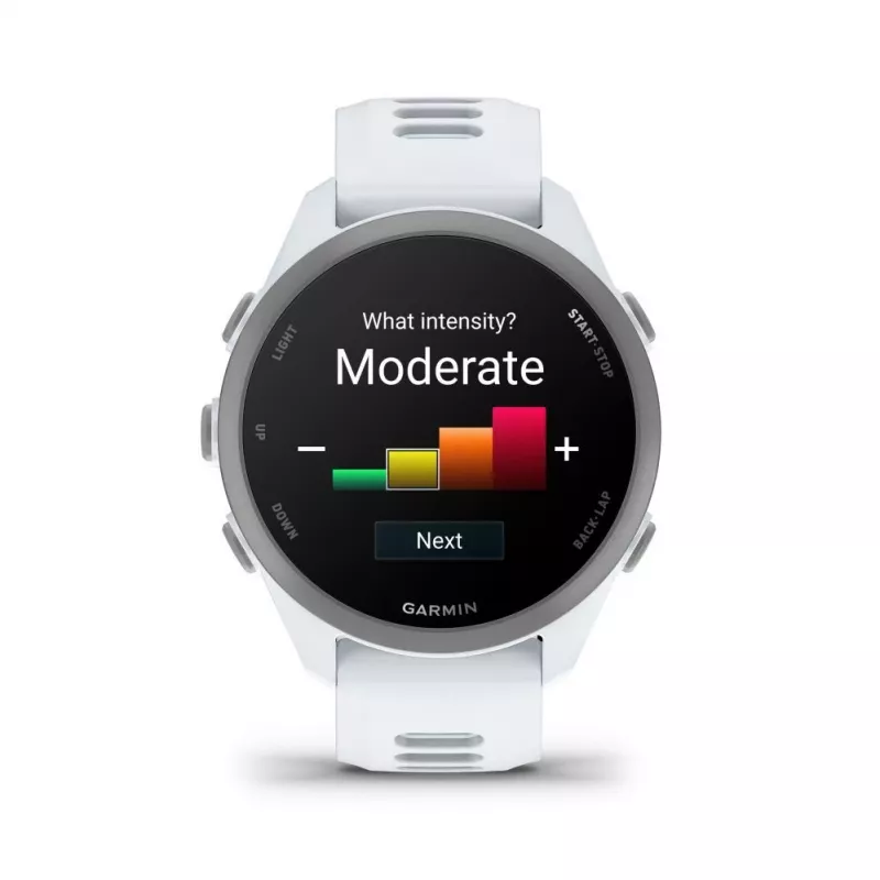Garmin Forerunner 170 Music, Whitestone con cinturino Whitestone/Cloud Blue