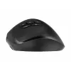 Gembird MUSW3-9B-01 mouse ergonomico wireless triple-mode (2,4 GHz + Bluetooth + USB-C), 2400 DPI, 9 tasti, nero