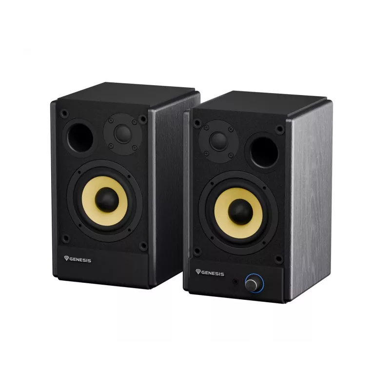 Genesis Arsen 402BT NGS-2415 diffusori da scrivania, 2.0, 60 W, Bluetooth 5.3, nero