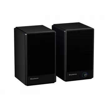 Genesis Arsen 402BT NGS-2415 diffusori da scrivania, 2.0, 60 W, Bluetooth 5.3, nero