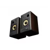 GENESIS ARSEN 402BT 2 vie bronzo con filo e wireless 60 W