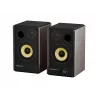 GENESIS ARSEN 402BT 2 vie bronzo con filo e wireless 60 W