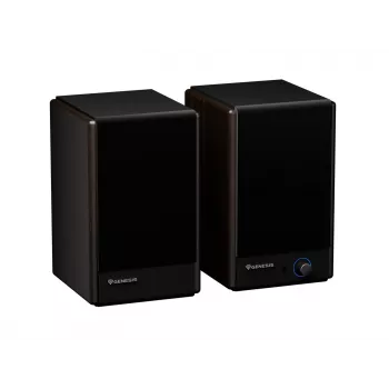 GENESIS ARSEN 402BT 2 vie bronzo con filo e wireless 60 W