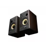 GENESIS ARSEN 502BT 2 vie bronzo con filo e wireless 60 W