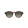 GIORGIO ARMANI Occhiali da sole donna AR8146-596271 Havana acetato verde sfumato 50/15/145 mm