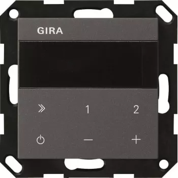 GIRA 232028 radio da incasso IP System 55 antracite