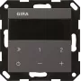 GIRA 232028 radio da incasso IP System 55 antracite