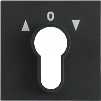 Gira Copertura per interruttore a chiave, System 55, antracite 066428