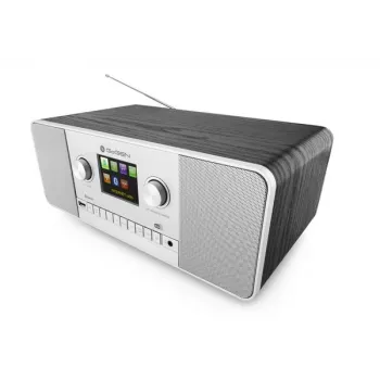 GoGen IR 257 BTDAB Internet Digitale argento