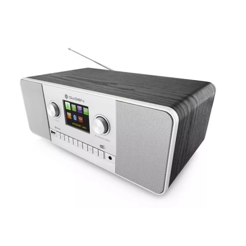 GoGen IR 257 BTDAB Internet Digitale argento
