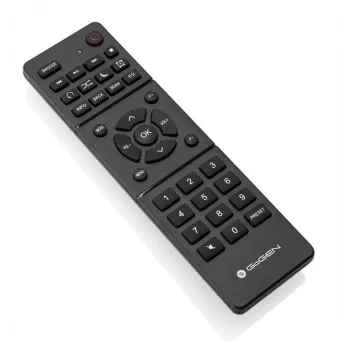 GoGen IR 257 BTDAB Internet Digitale argento