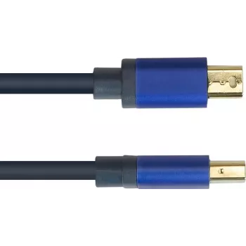 GoodConnections Alcasa 4824-SF010B Cavo Mini DisplayPort su DisplayPort 1m blu 4K@60Hz