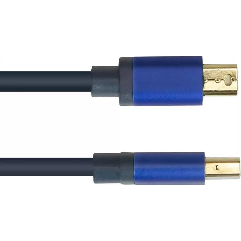 GoodConnections Alcasa 4824-SF010B Cavo Mini DisplayPort su DisplayPort 1m blu 4K@60Hz