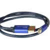 GoodConnections Alcasa 4824-SF010B Cavo Mini DisplayPort su DisplayPort 1m blu 4K@60Hz
