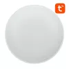 Lampada da soffitto smart Gosund LB11 32cm WiFi Bluetooth RGBCW 1920lm Tuya + telecomando