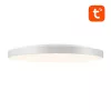 Lampada da soffitto smart Gosund LB11 32cm WiFi Bluetooth RGBCW 1920lm Tuya + telecomando