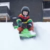 Hamax Sno Zebra Snow Racer verde polietilene