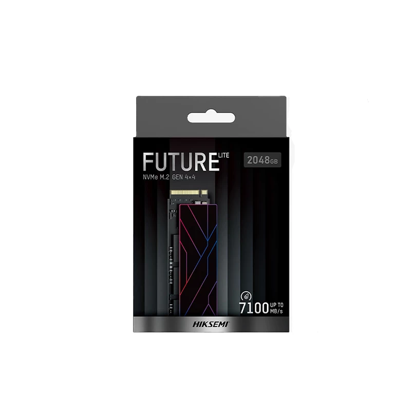 HIKSEMI Future Lite 2TB M.2 NVMe unità a stato solido