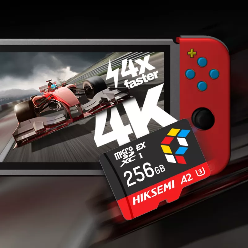 Hiksemi Future PRO 256GB MicroSD Express PCIe 3.0 x1 TLC scheda di memoria (senza adattatore)