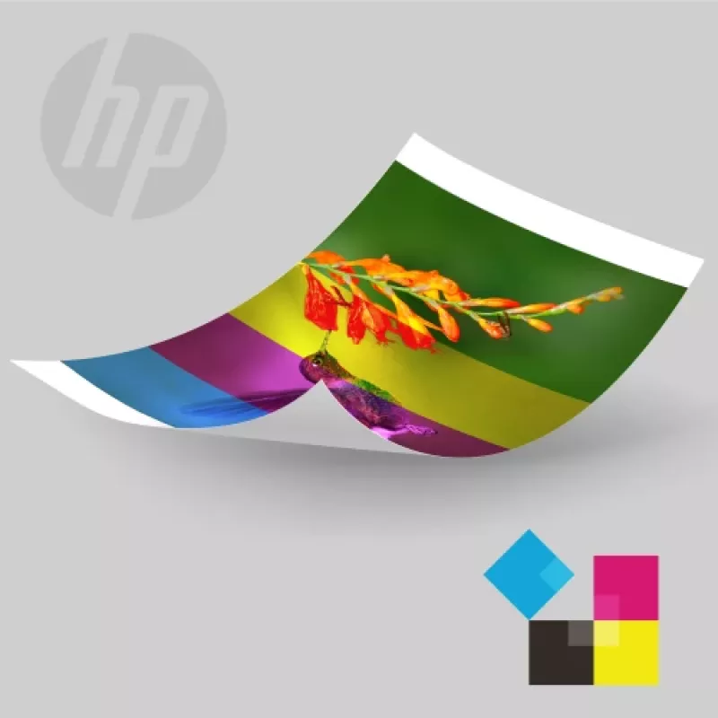 HP Sprocket Studio Plus carta fotografica 4x6 (108 fogli) - lucida