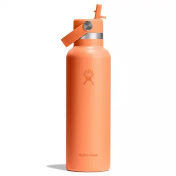 Borraccia termica Hydro Flask 620 ml Standard Flex Straw Cap Nectar