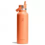 Borraccia termica Hydro Flask 620 ml Standard Flex Straw Cap Nectar