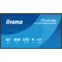 IIYAMA LH4366UHSB-B1AG display digital signage 43 pollici 4K UHD, pannello VA, 500 cd/m², funzionamento 24/7, Android 9.0, Wi-Fi, 2x altoparlanti 10W