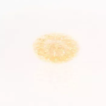 iLike Bumba Flower Ball RS-209 100 LED Luce Decorativa Bianco Caldo D-14cm