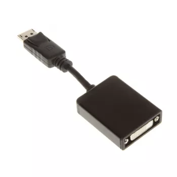 InLine cavo adattatore DisplayPort, DisplayPort maschio a DVI-D 24+5 femmina, nero, 0,2m