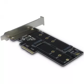 Inter-Tech Scheda adattatore PCIe KT015 PCIe x4 su M.2 NVMe + SATA su M.2
