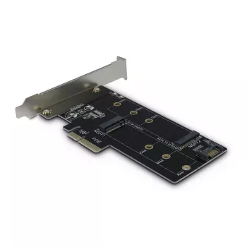 Inter-Tech Scheda adattatore PCIe KT015 PCIe x4 su M.2 NVMe + SATA su M.2